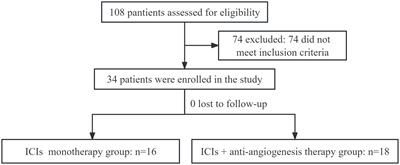 Efficacy and safety of immune checkpoint inhibitors plus recombinant human endostatin therapy as second-line treatment in advanced non-small-cell lung cancer with negative driver gene: a pilot study